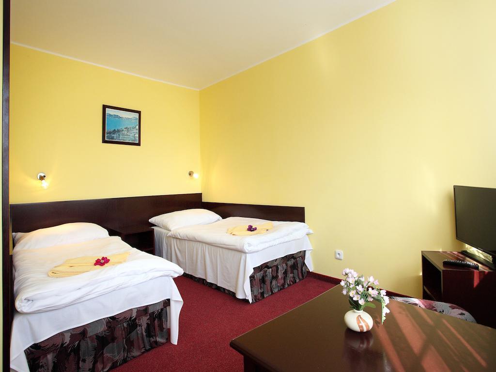 Hotel Milan Vopicka Hluboká nad Vltavou 部屋 写真